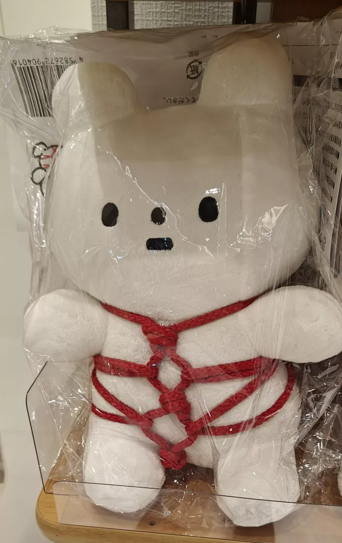 Does anybody know this bear?