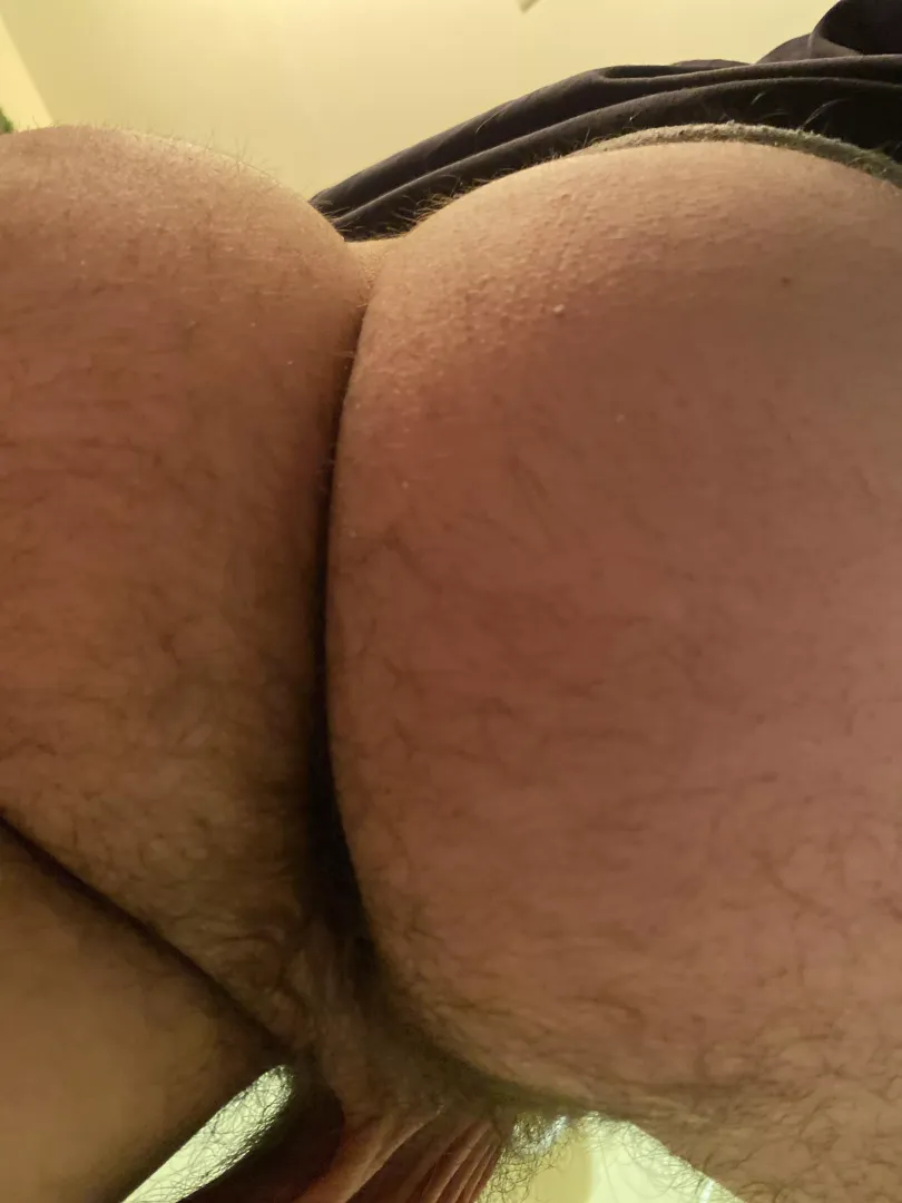 Does this ass fit here? (31)