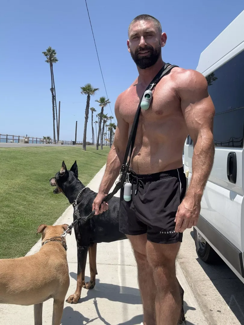 Dog or cat person?