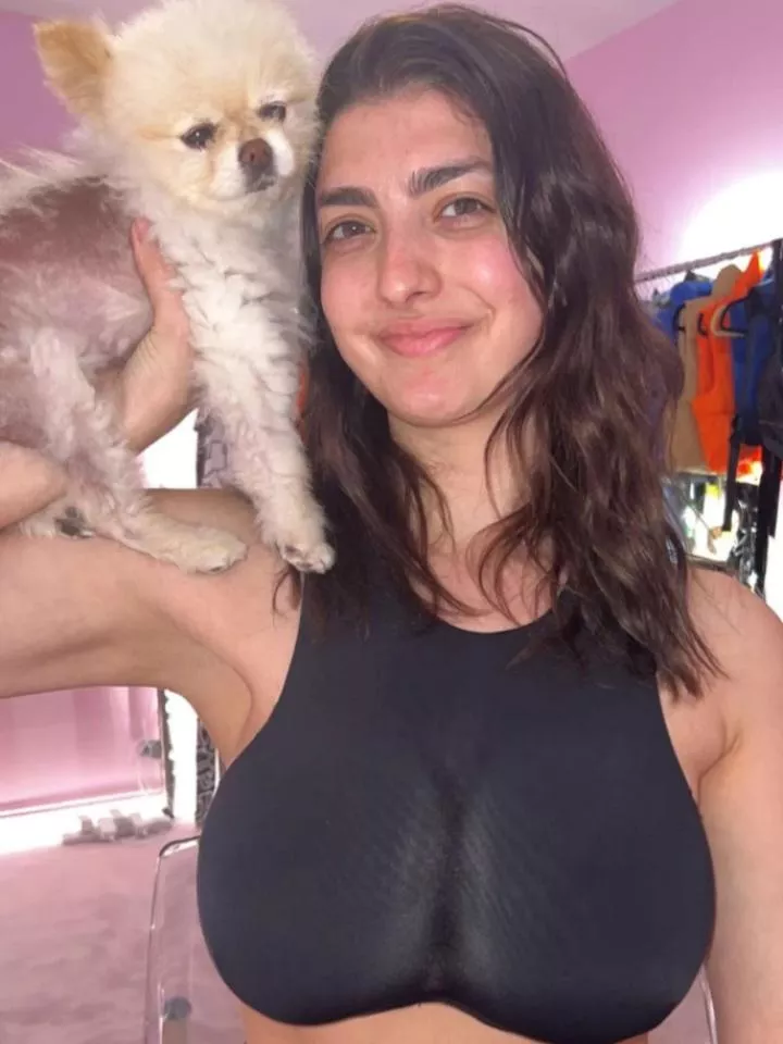 Doggo :3