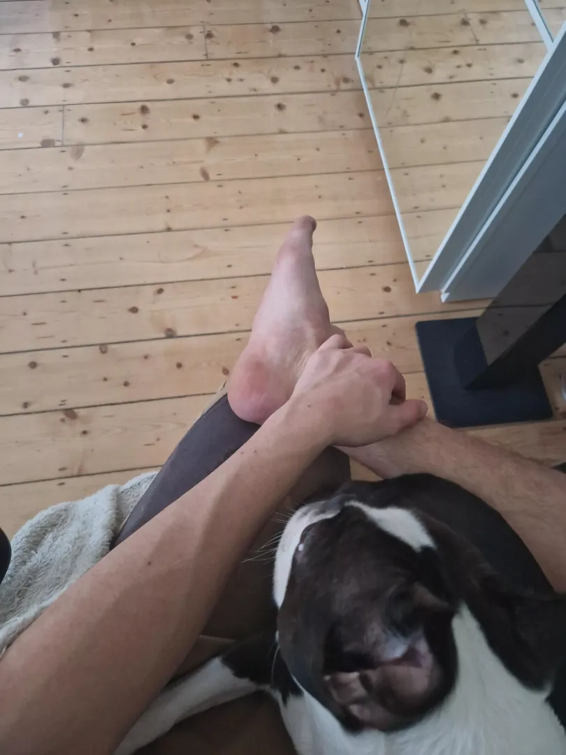 Doggo