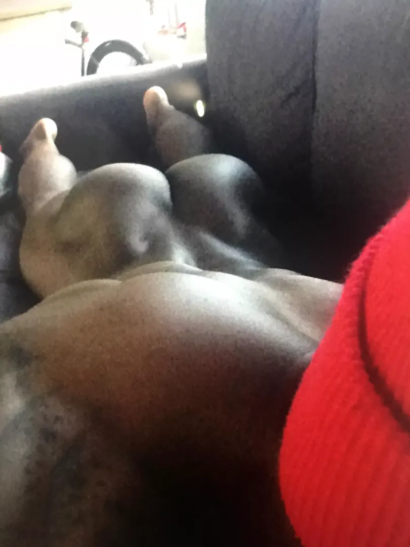 Double Cheeked-Up 