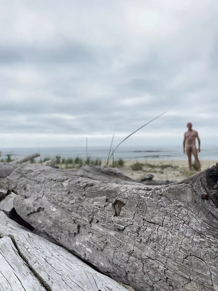 Driftwood
