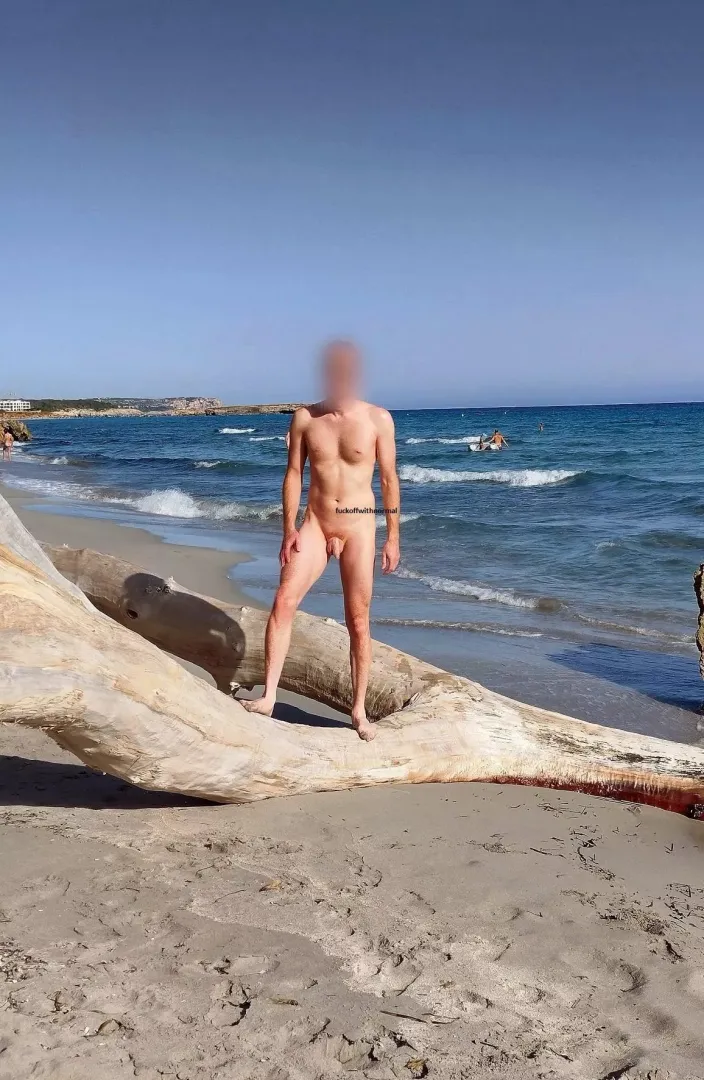 Driftwood