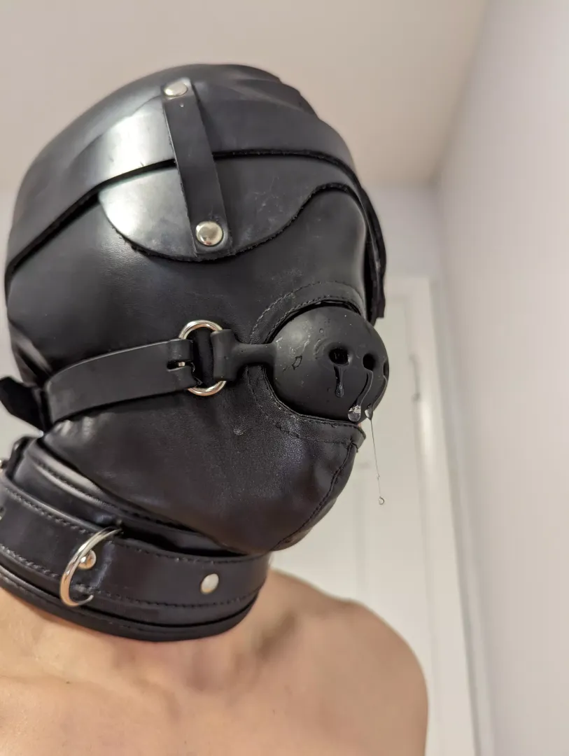 Drool finds a way