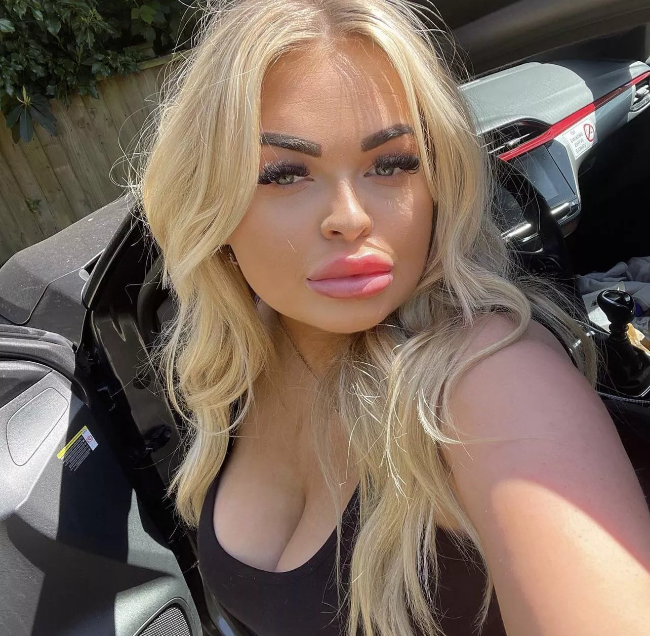 DSLs