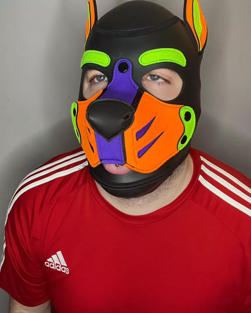 Dumb horny doggy 🤪🦴