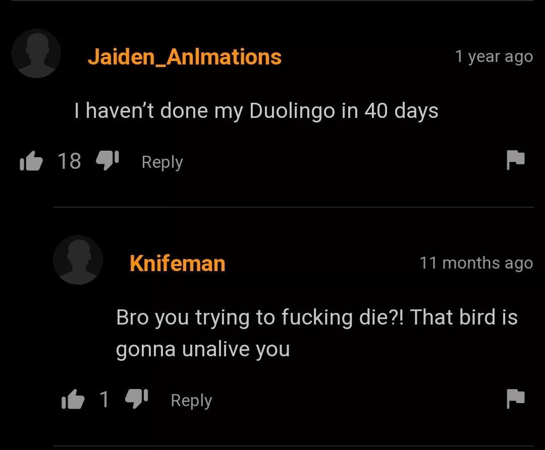 Duolingo will fuck him