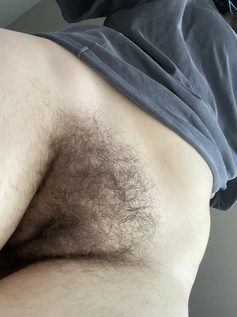 enjoy the bush 😌