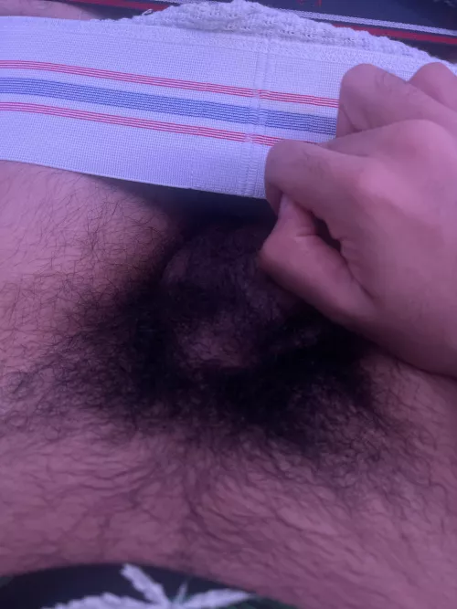 Enjoy this bush :)