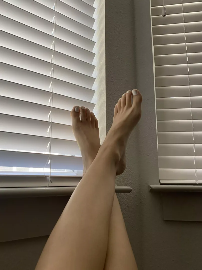 Enjoying the view