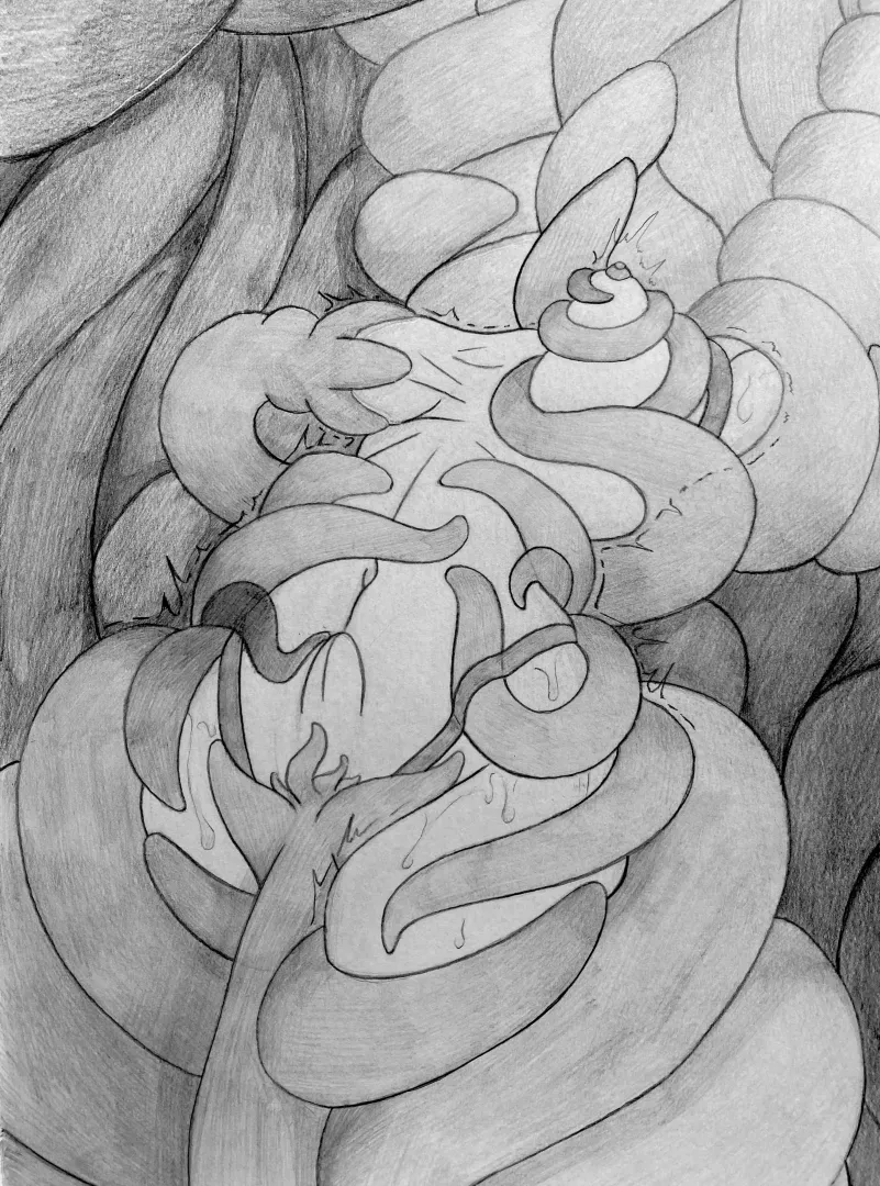 Entangled and used (drawing by me)