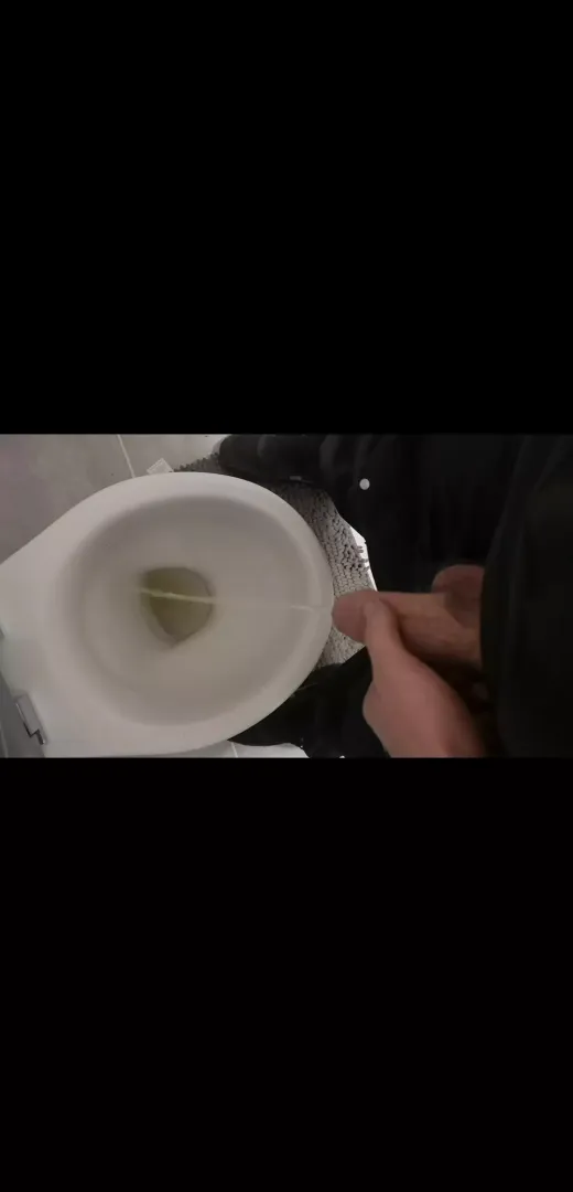 evening piss
