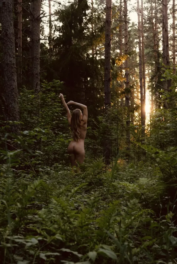 Evening sun