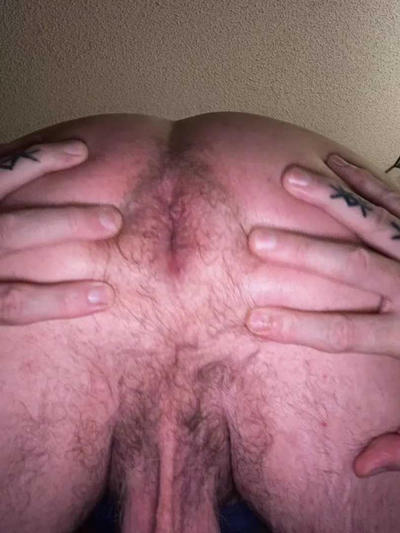 Everything is hairy
