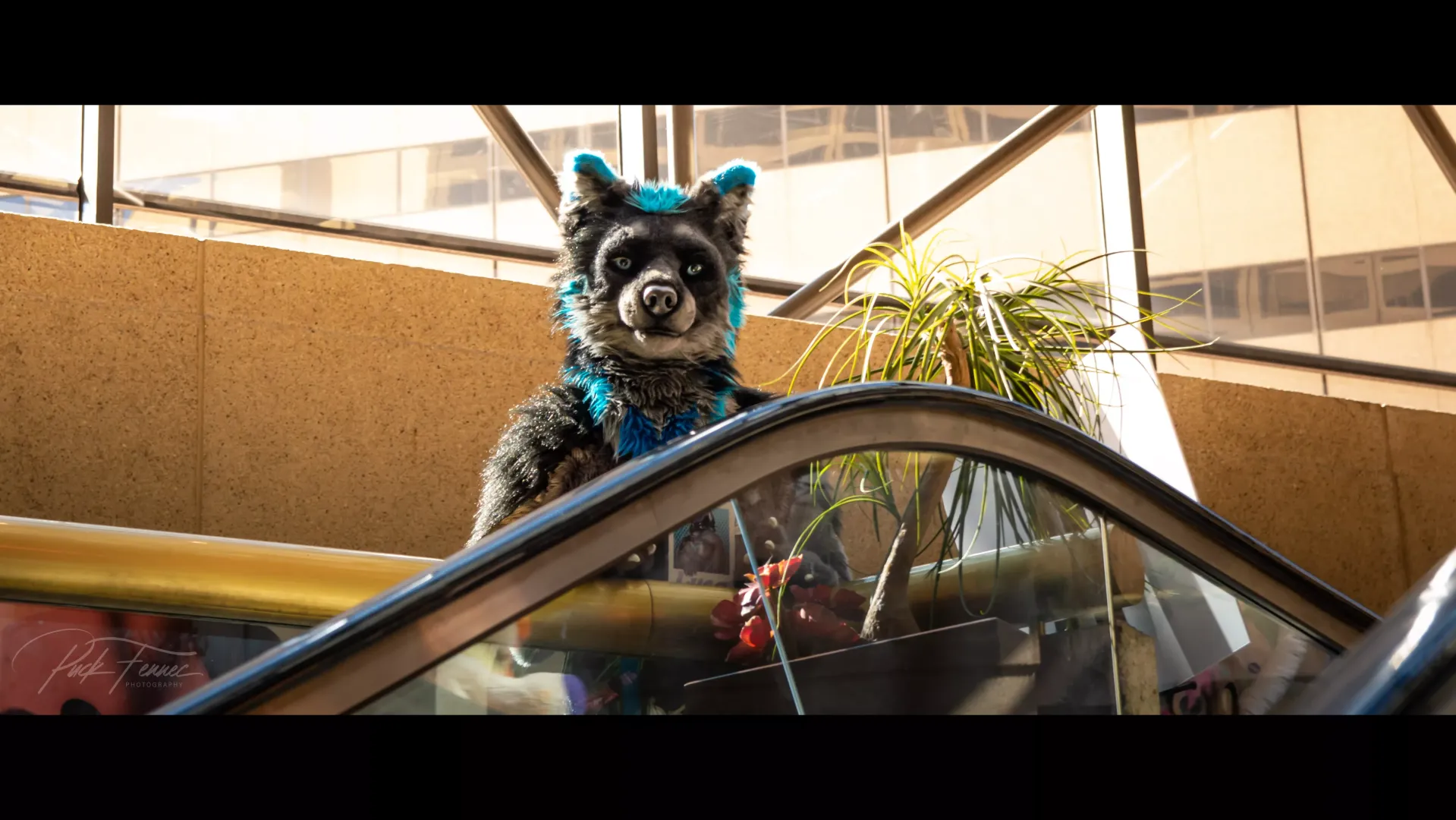 Experimenting with cinematic edits