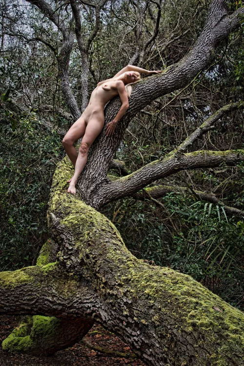 Exploring the Forest