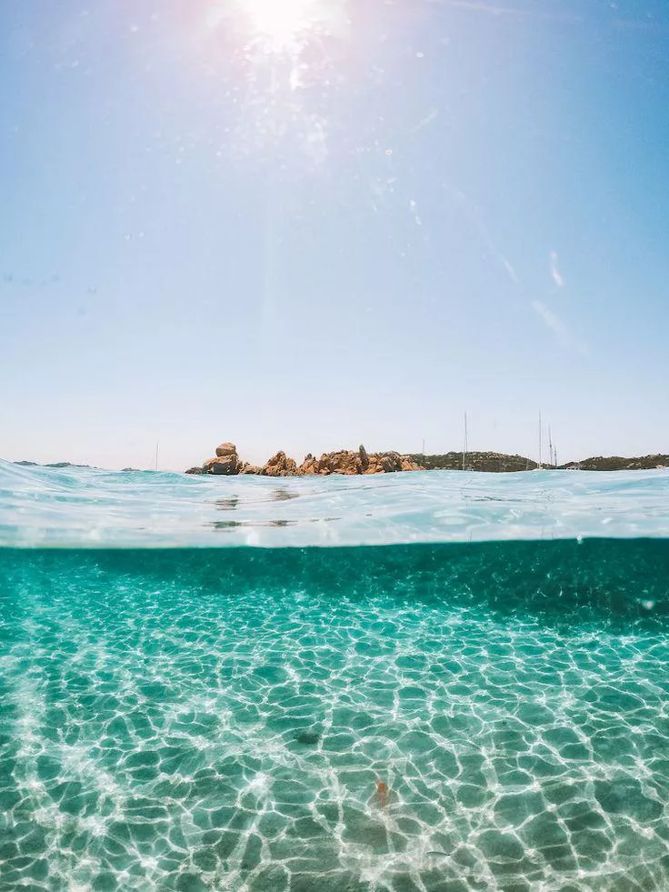 Exploring the hidden beauty of the underwater world. 🌊