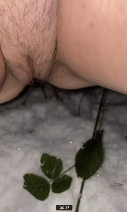 [f] caught short on my dog walk 💦