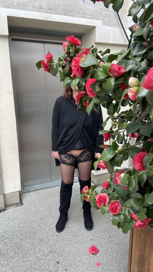 (F) Flowerpower. Flashes outdoor, love Roses an showing my wet Pussy