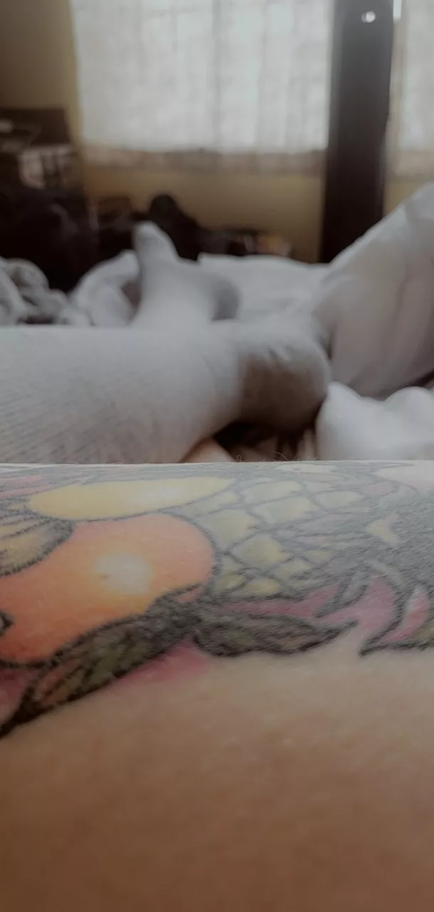 (f) in love with socks and tattoos