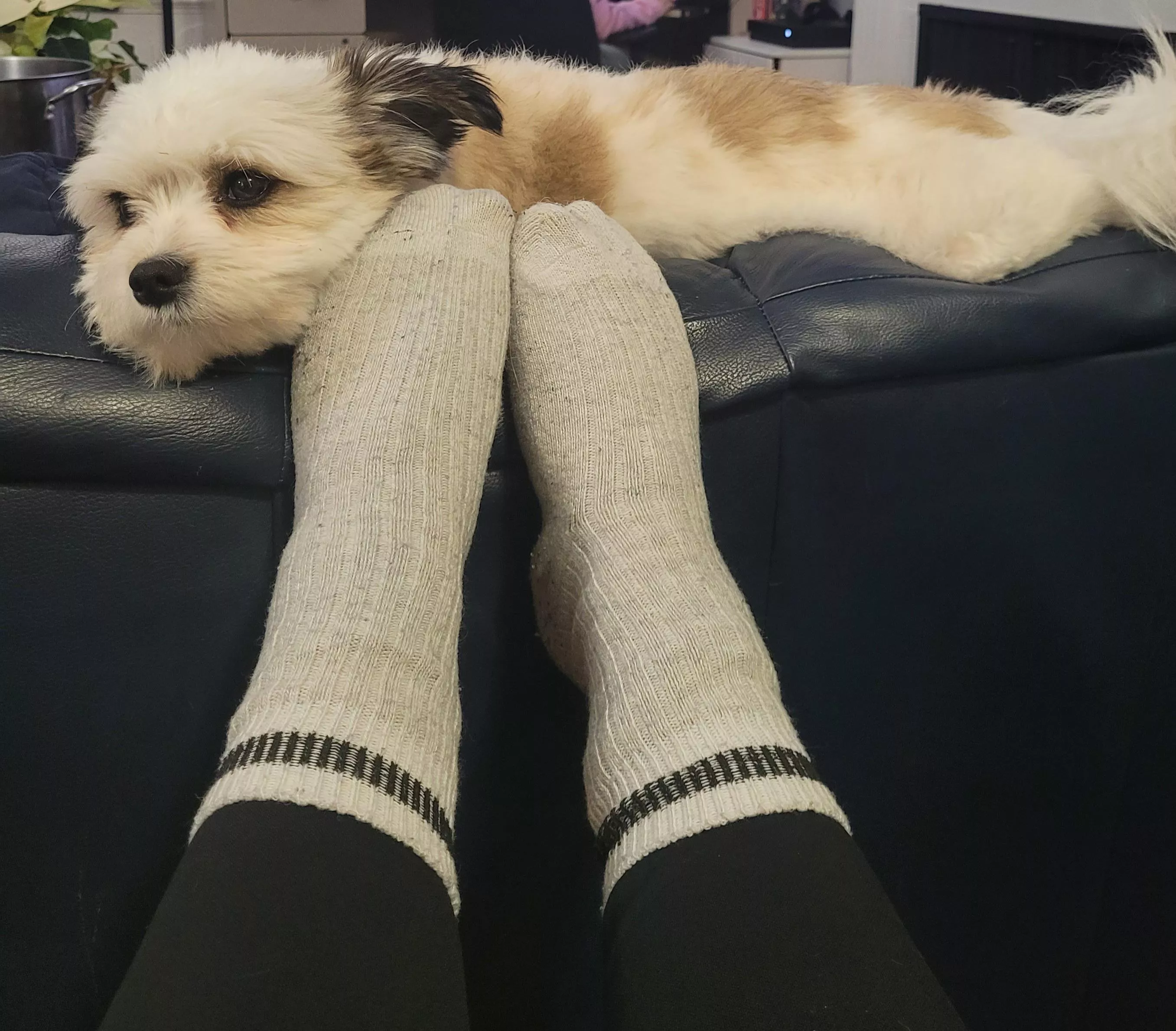 (f) just lounging around