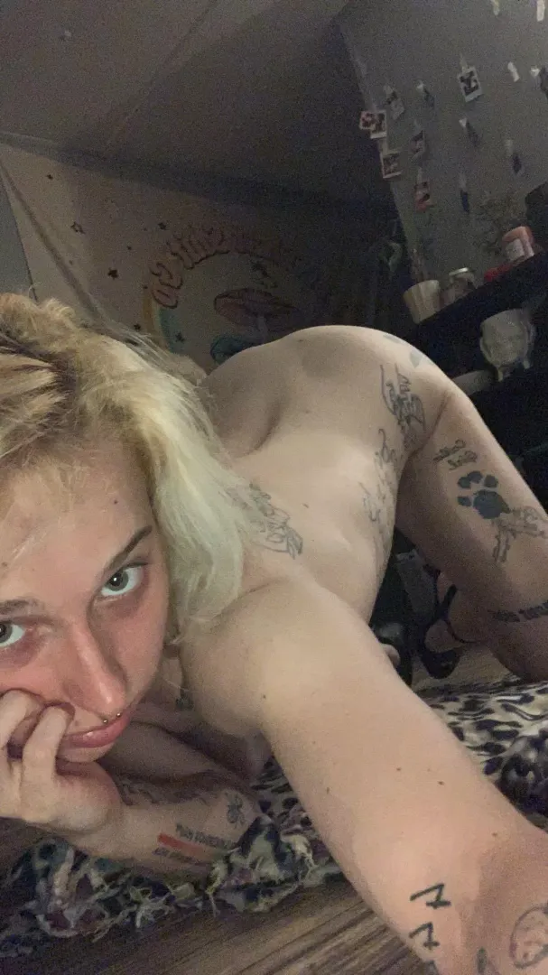 (f21) pretty arch