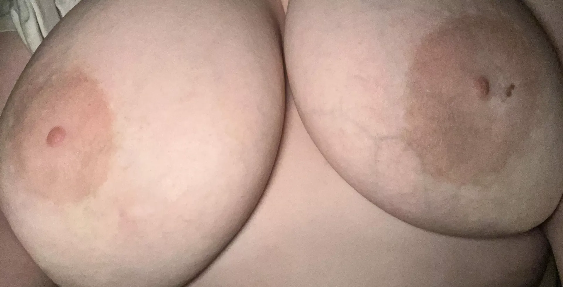 F23