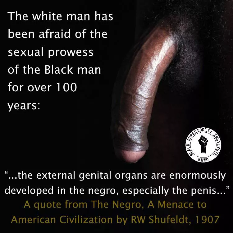 Fact