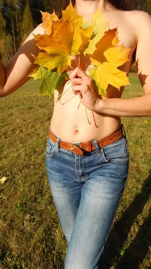 Fall has come to the county