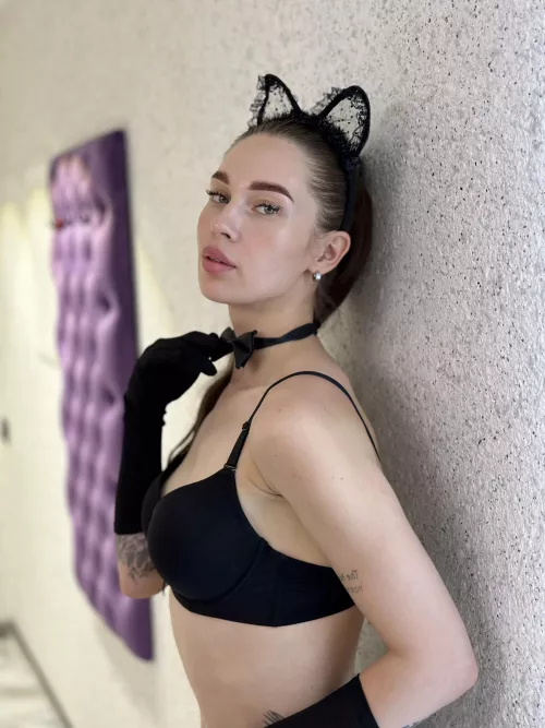 fantastic black cat