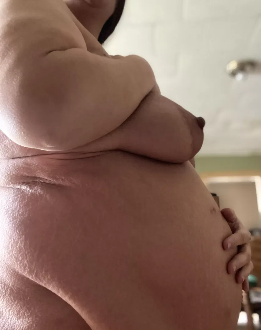 Fat and pregnant 
