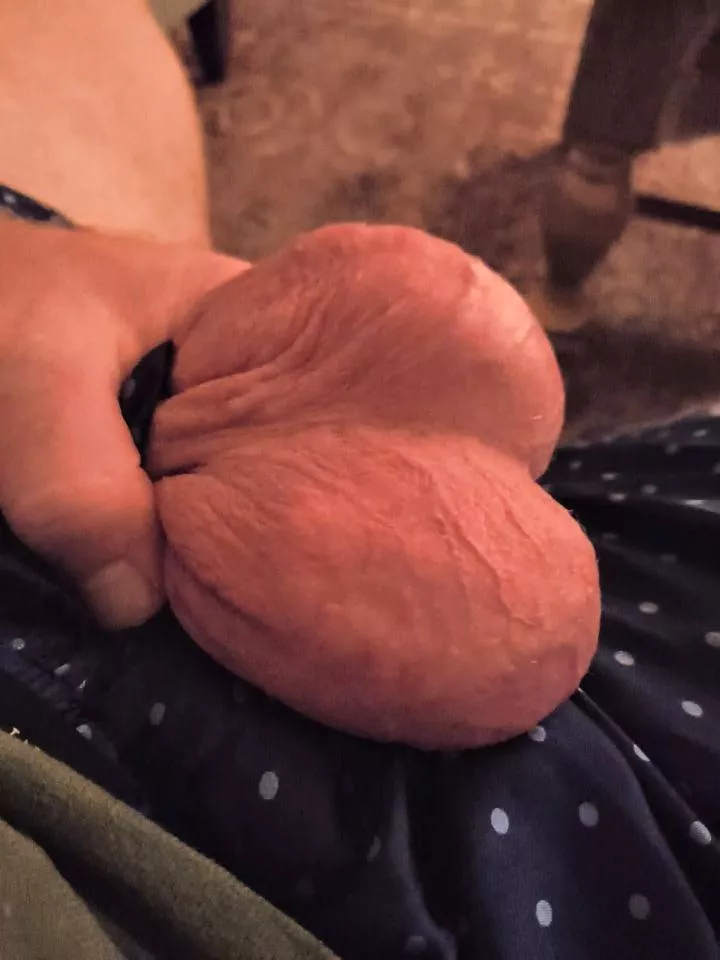 Fat nuts [36]