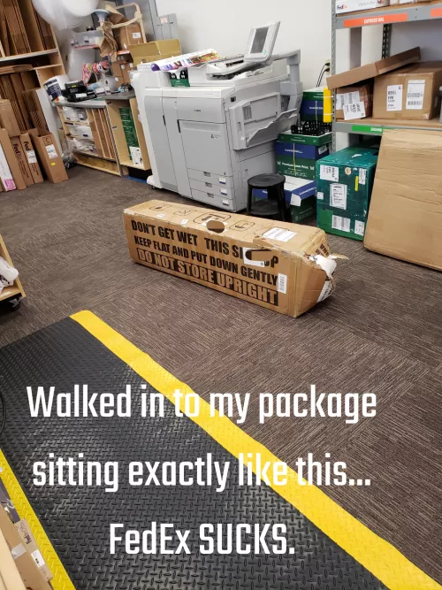 FedEx is the worst... 3 out of 3 dolls they've delivered to me have either been destroyed or heavily damaged. Here's what I found when I went to pickup my new Lush Doll... first time I've ever refused a package.