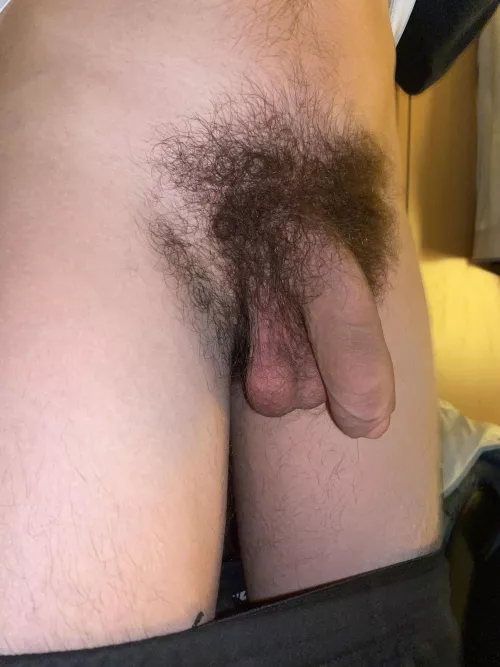 Feel free to message me if you also love pubes.