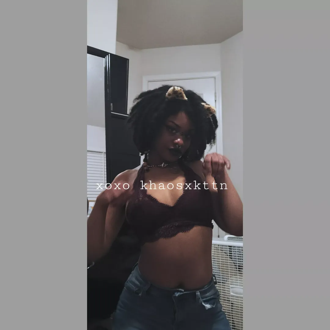 Feel me up cutie, promise I don't scratch..too much 😻🧸🐾