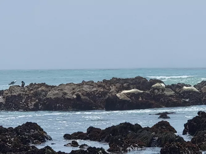 Feel the waves..