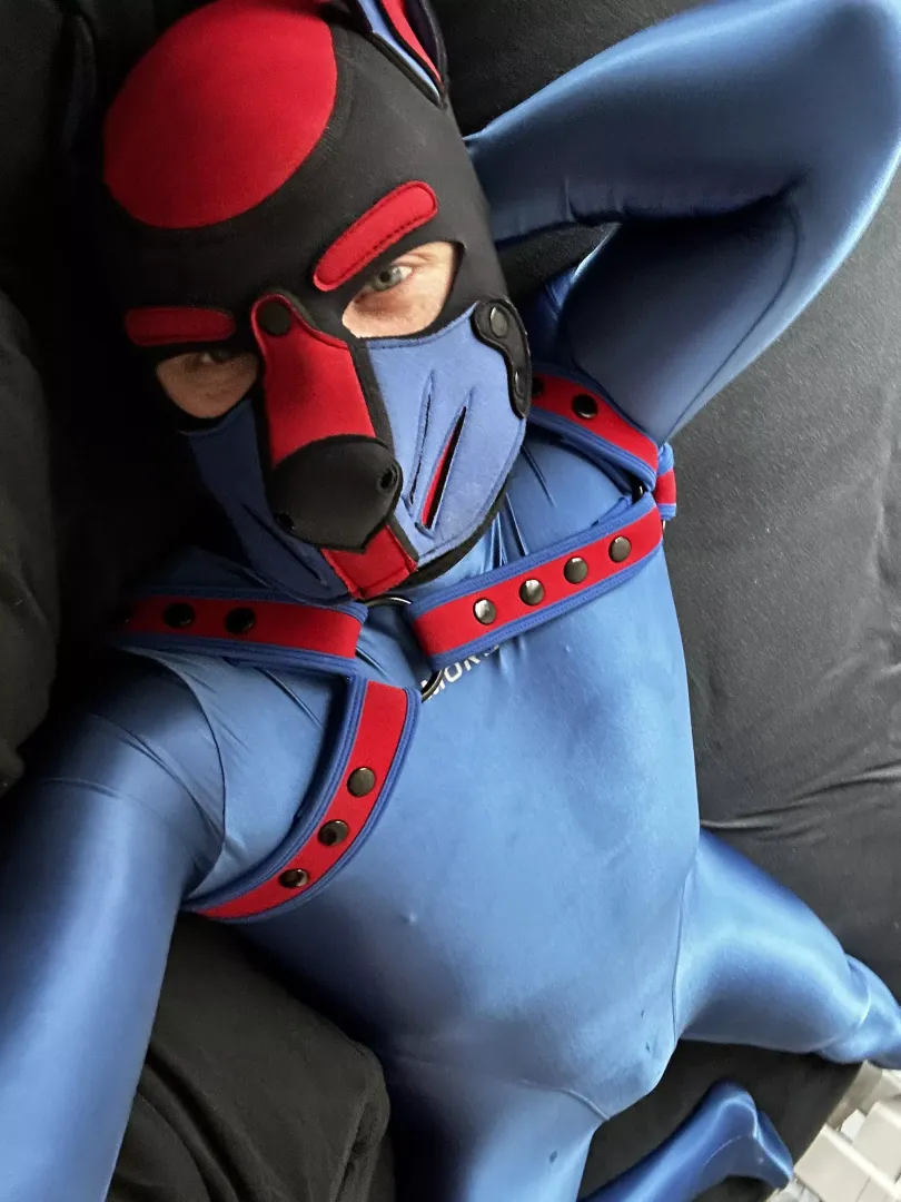 Feeling cute and slinky