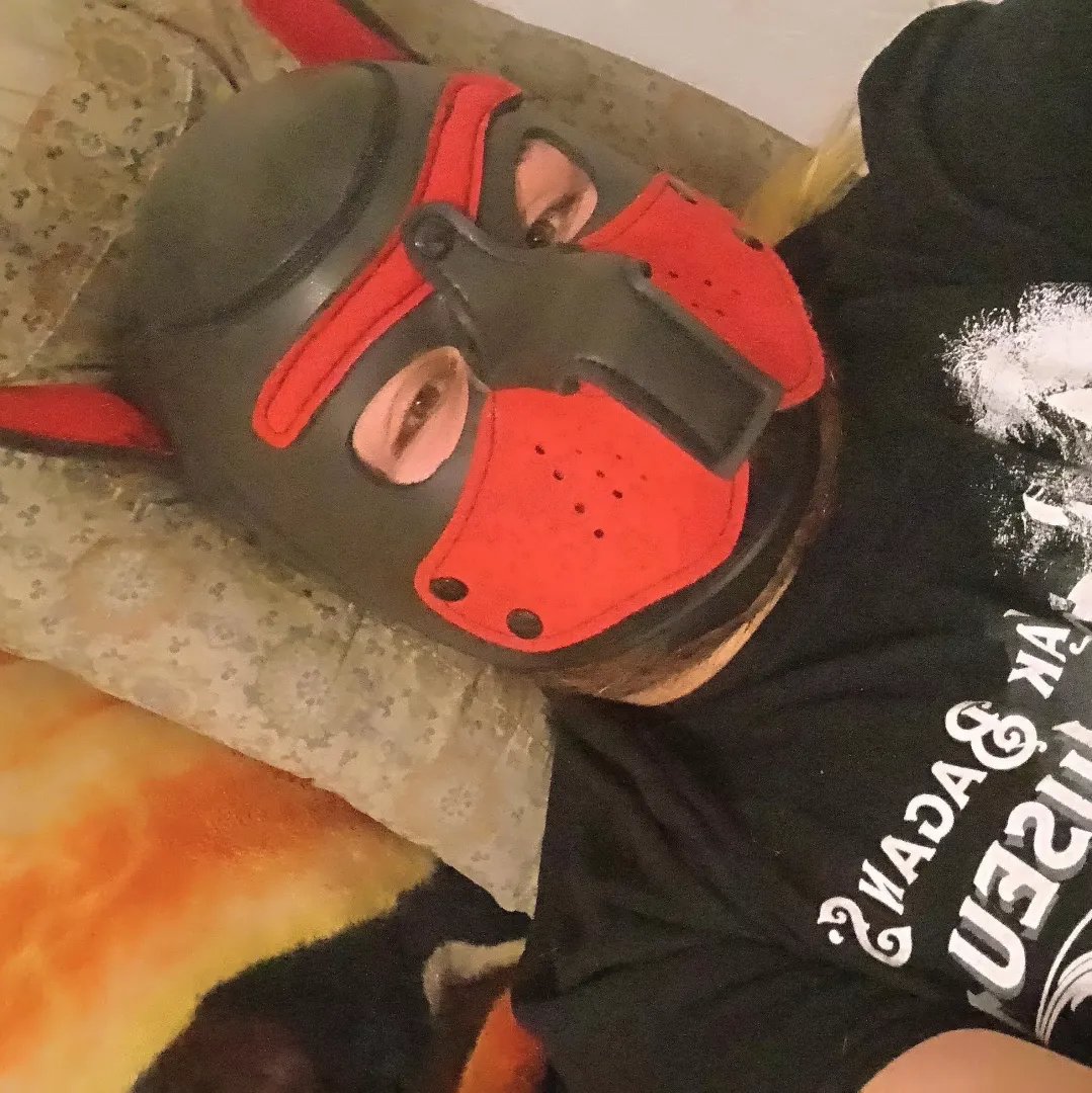 felt Cute today might delete later