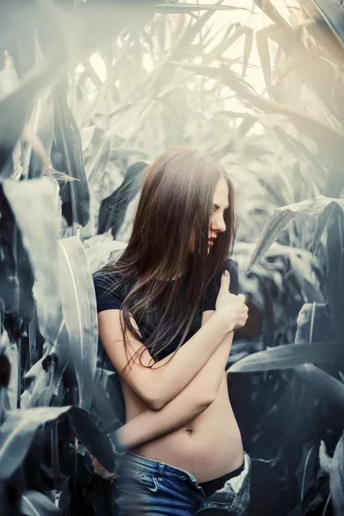 Field of Dreams by Ratke