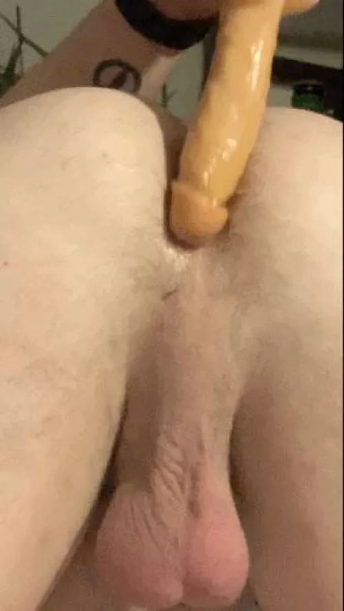 Fill me up