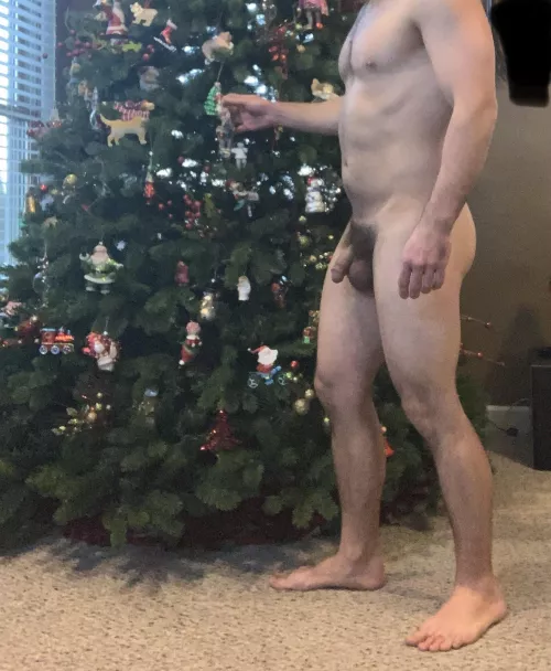 Finding some bare spots to hang ornaments and make the tree look fantastic. I love the holidays.