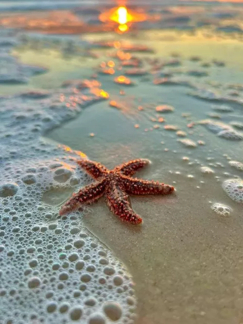 Finding zen on the beach 
