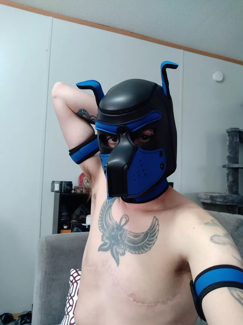 first hood