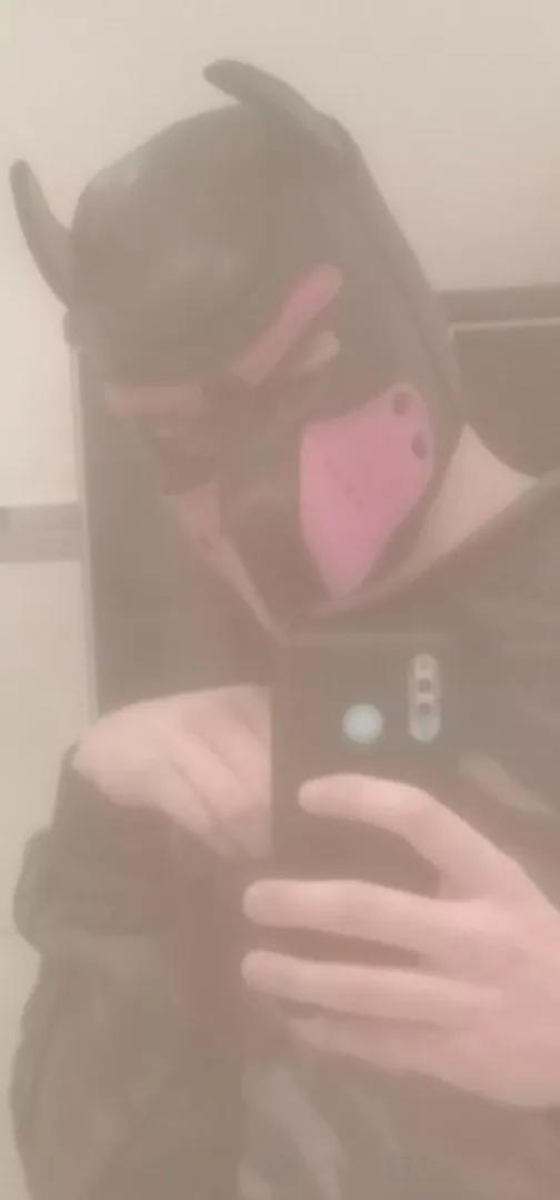 First Puppy toy is my mask