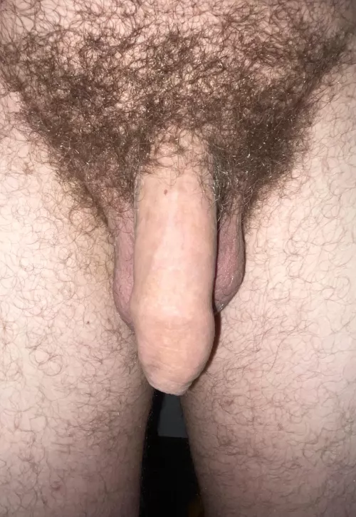 Flaccid but hairy 🙈