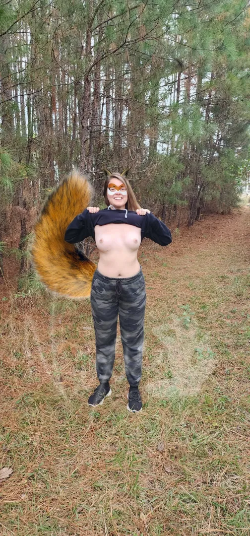 Flashing fox right alongside the neighborhood trails