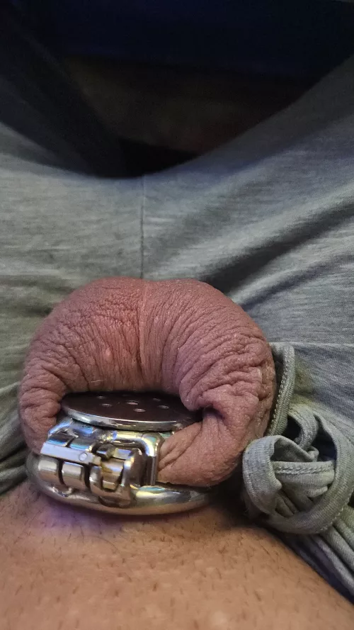 Flat cages are the most comfortable cage to wear all day even while working