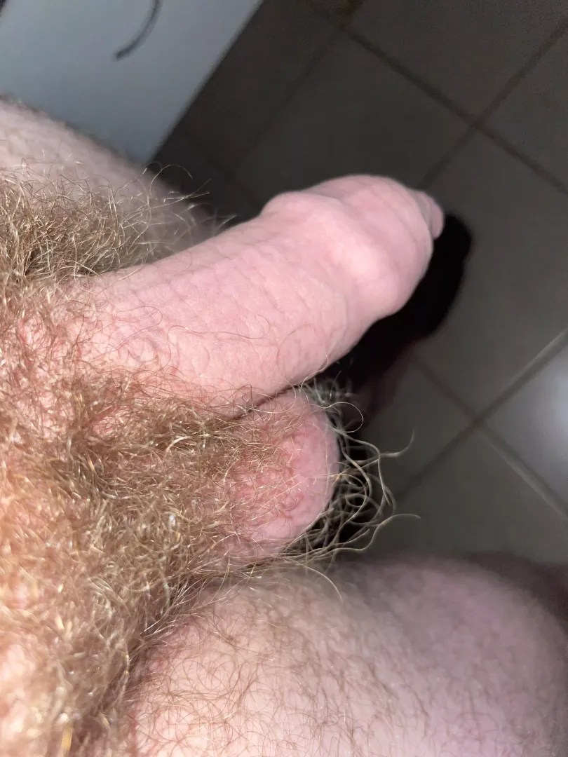 Floppy cock