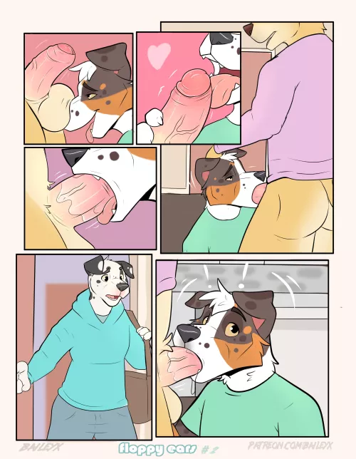 Floppy Ears 2 (BaileyX)